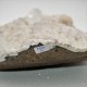 Apophyllite  Calcédoine blanche Pierre brute  ARD5