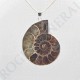 Colgante Amonites Modelo grande