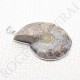 Pendentif Amonite Grand Modele