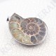 Pendentif Amonite Grand Modele