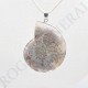 Pendentif Amonite Grand Modele