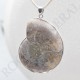 Pendentif Amonite Grand Modele