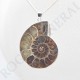 Colgante Amonites Modelo grande