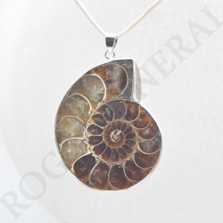 Pendentif Amonite Grand Modele