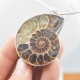 Pendentif Amonite Grand Modele