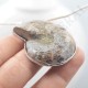 Pendentif Amonite Grand Modele