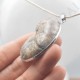 Pendentif Amonite Grand Modele