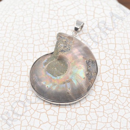 Pendentif Amonite Grand Modele