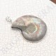 Pendentif Amonite Grand Modele