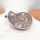 Pendentif Amonite Petit Modele
