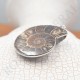 Pendentif Amonite Grand Modele