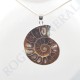Pendentif Amonite Grand Modele