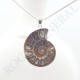 Pendentif Amonite Grand Modele
