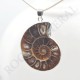 Pendentif Amonite Petit Modele
