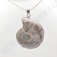 Pendentif Amonite Grand Modele