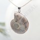 Pendentif Amonite Grand Modele