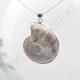 Pendentif Amonite Grand Modele