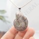 Pendentif Amonite Petit Modele