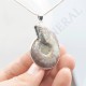 Pendentif Amonite Grand Modele