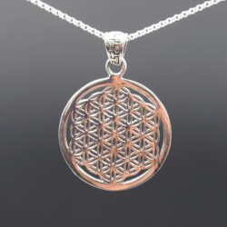 Pendentif Fleur De Vie En Argent 3cm