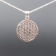 Pendentif Fleur De Vie En Argent 3cm
