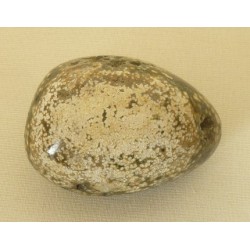 Jaspe Orbiculaire galet 03