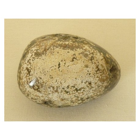 Jaspe Orbiculaire galet 03