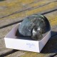 Labradorite taillée façon ammonite AMLB5