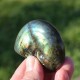 Labradorite taillée façon ammonite AMLB5