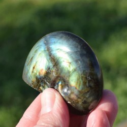 Labradorite taillée façon ammonite AMLB5