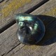 Labradorite taillée façon ammonite AMLB5