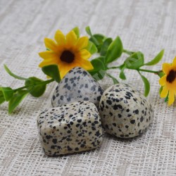 Jaspe dalmatien pierre roulée à l'unité