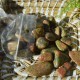 Unakite petites pierres roulées par 250gr