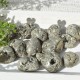 Pirita piedras rodadas pequeñas 250g