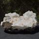 Apophyllite Pierre naturelle 9