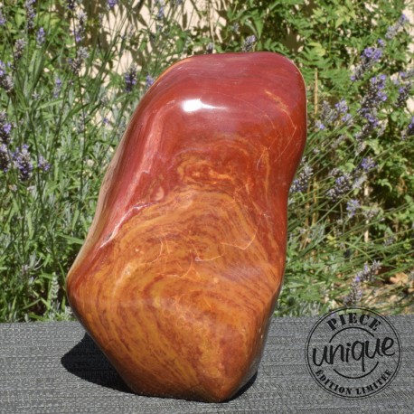 Bois fossile forme libre ARL5