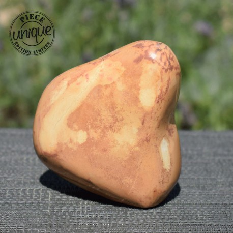 Jaspe polychrome forme libre ARF21