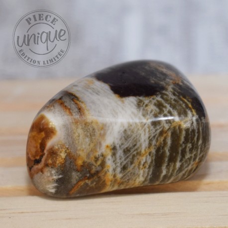 Jaspe polychrome grande pierre roulée JPP8