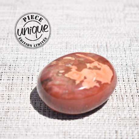 Bois fossile galet ARB60