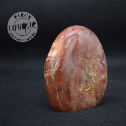 Bois fossile forme libre 1