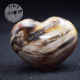 Bois fossile coeur COBF3