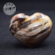 Bois fossile coeur COBF3