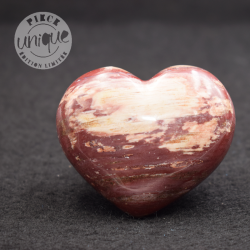 Bois fossile coeur COBF9