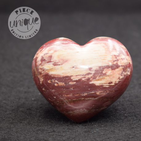 Madera fosilizada corazón COBF9