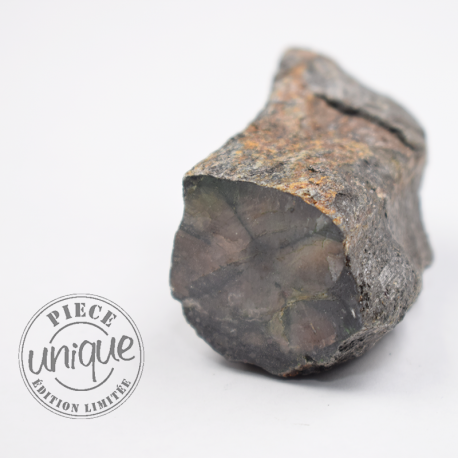 Bâton Chiastolite brute KBQ10