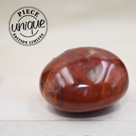 Bois fossile galet ARM18