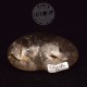 Quartz fumé galet ARG12