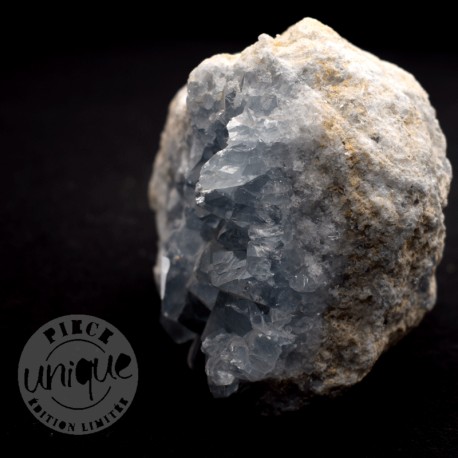 Celestina bruta ARD40