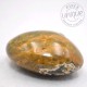 Jaspe Orbicular piedra pulida 04