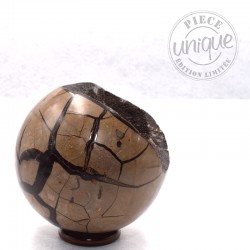 Septaria sauvage forme sphérique B21